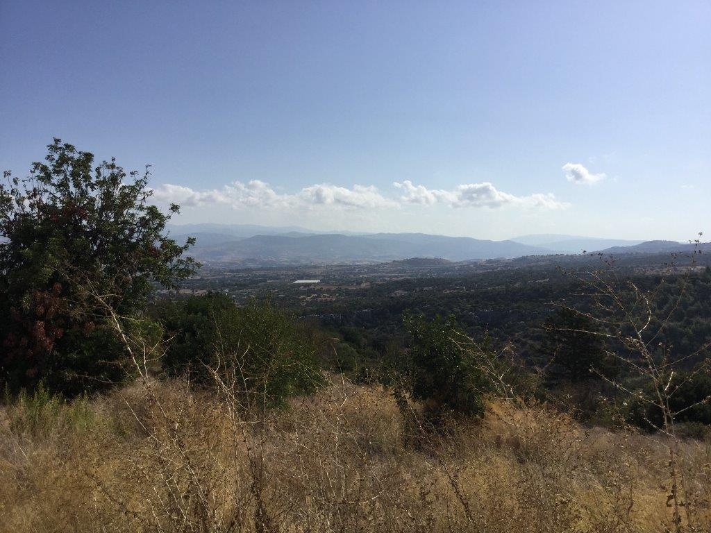 Residential Bungalow - STONE HOUSE BUNGALOW FOR SALE NEO CHORIO PAPHOS