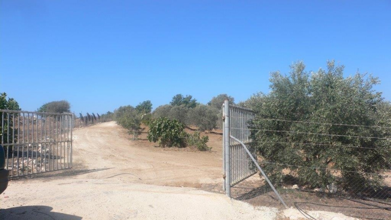 Land Land - reduced price agricultural land  Neo Chorio