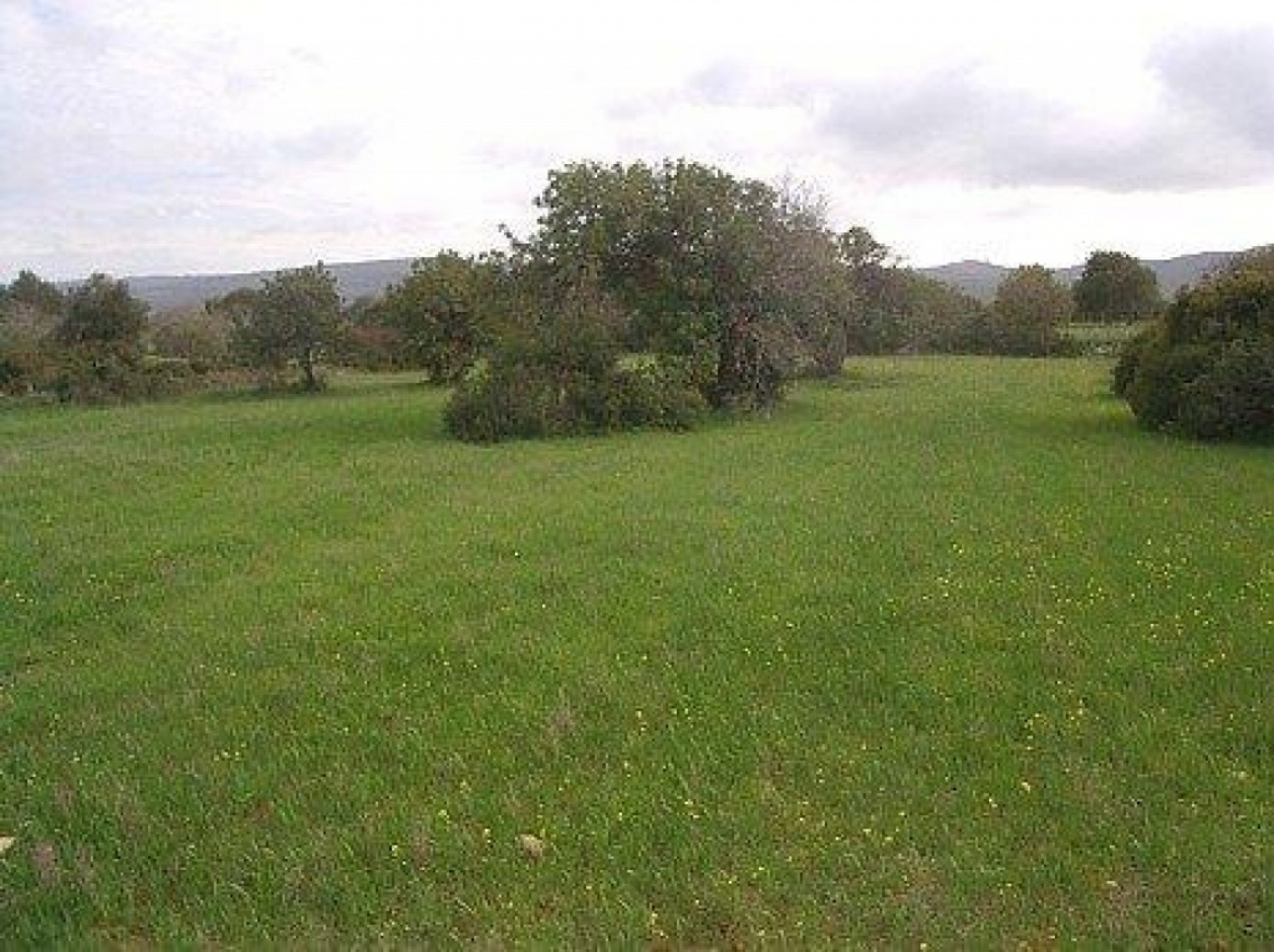 Land Land - Agricultural Land for Sale WITH TITLE DEEDS